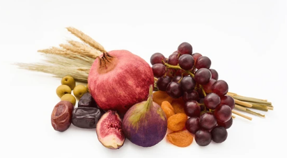 Foods of the Bible Luncheon