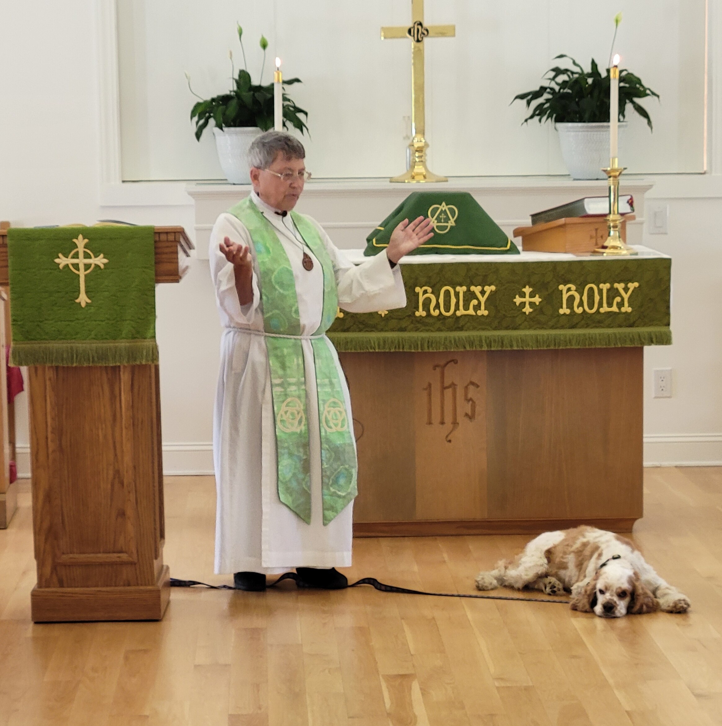 Rev. Terrie Sternberg preaching with Theo