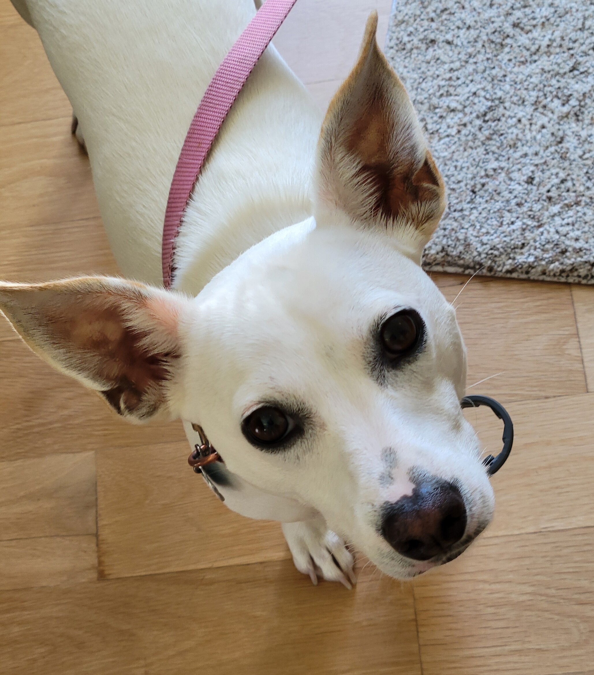 Lilah