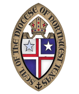 Seal - colored no background