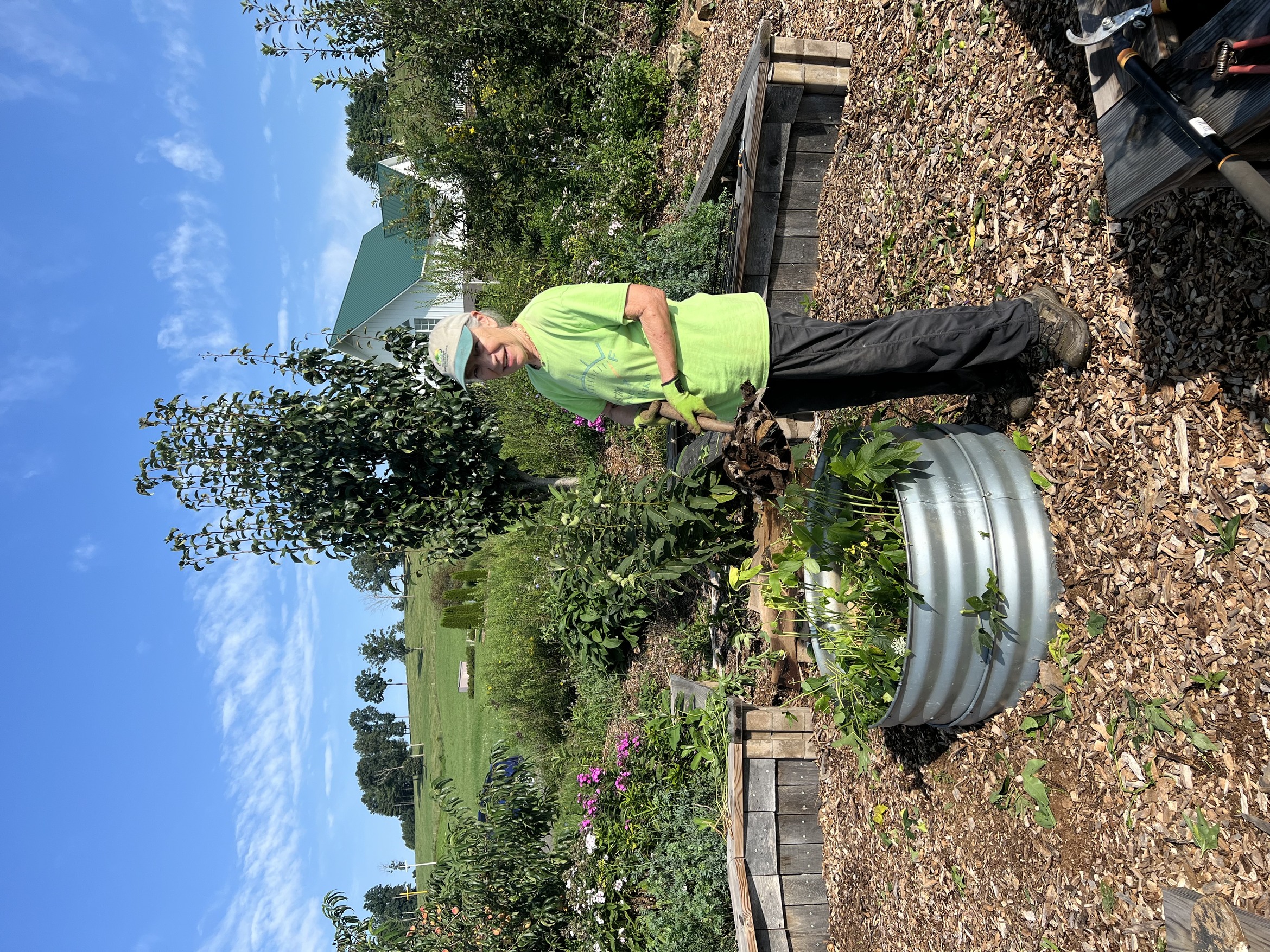 Planting in the Food Forest