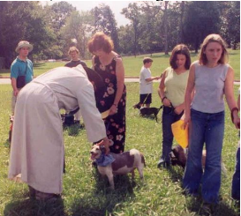 The Blessing of the Animals during a St. Francis Day celebration.