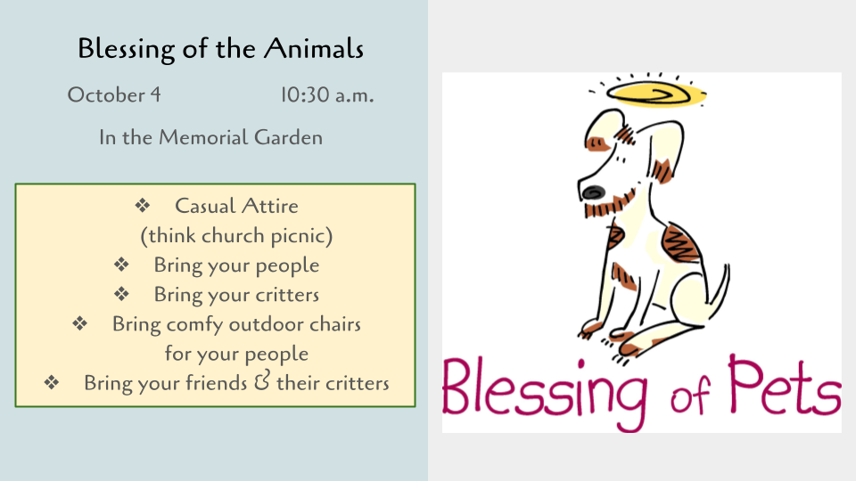 Blessing of the Animals