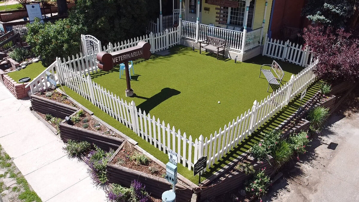 Grass365 Synthetic Grass Design Pets Veterinarian