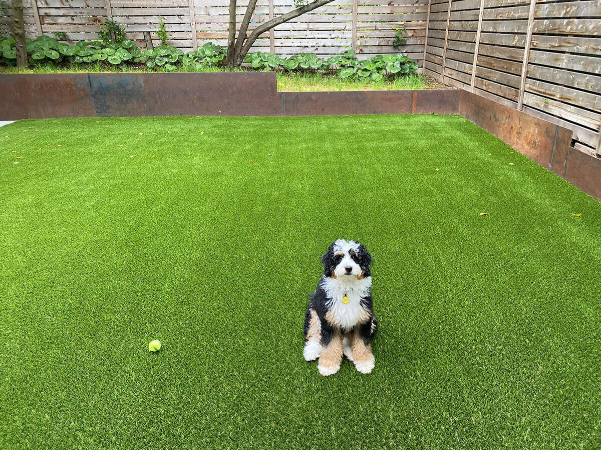 Artificial turf backyard pet friendly