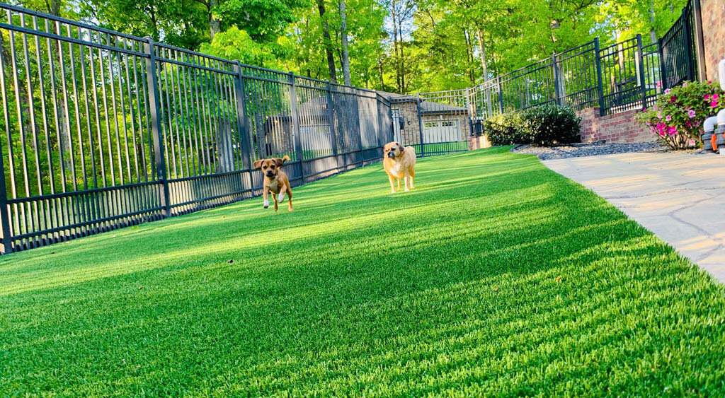 Artificial turf backyard pet run