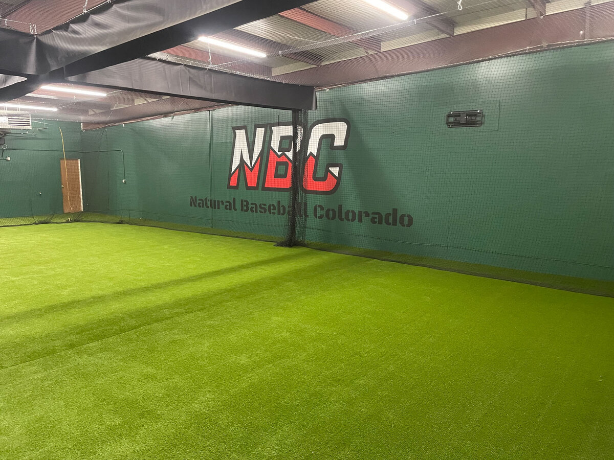 Artificial turf commercial indoor baseball
