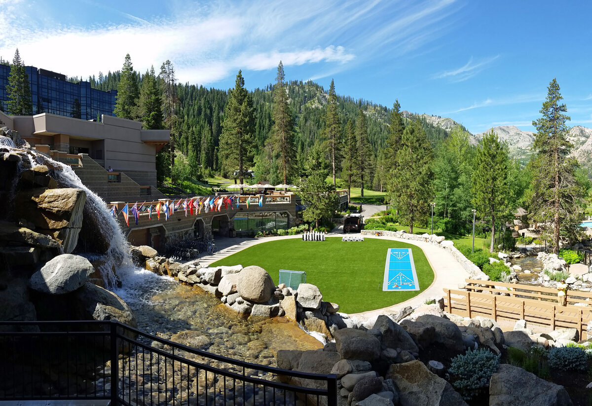 Artificial Turf Commercial Lawn