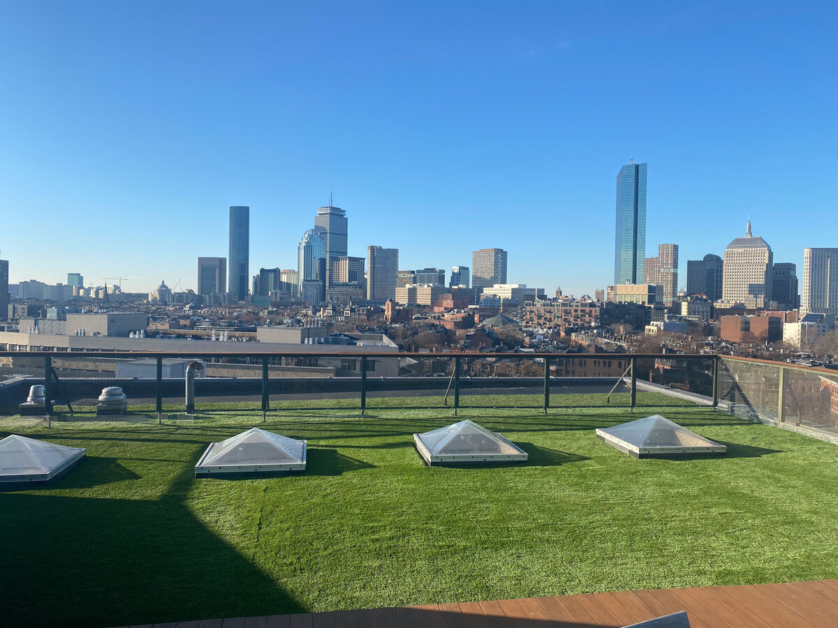 Artificial Turf Commercial Rooftop