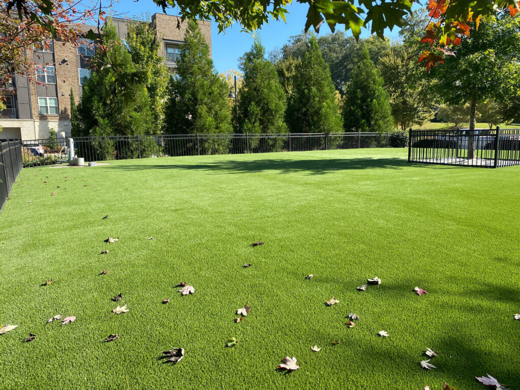 Artificial turf dog park