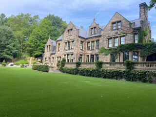 Artificial Turf Frontyard Lawn