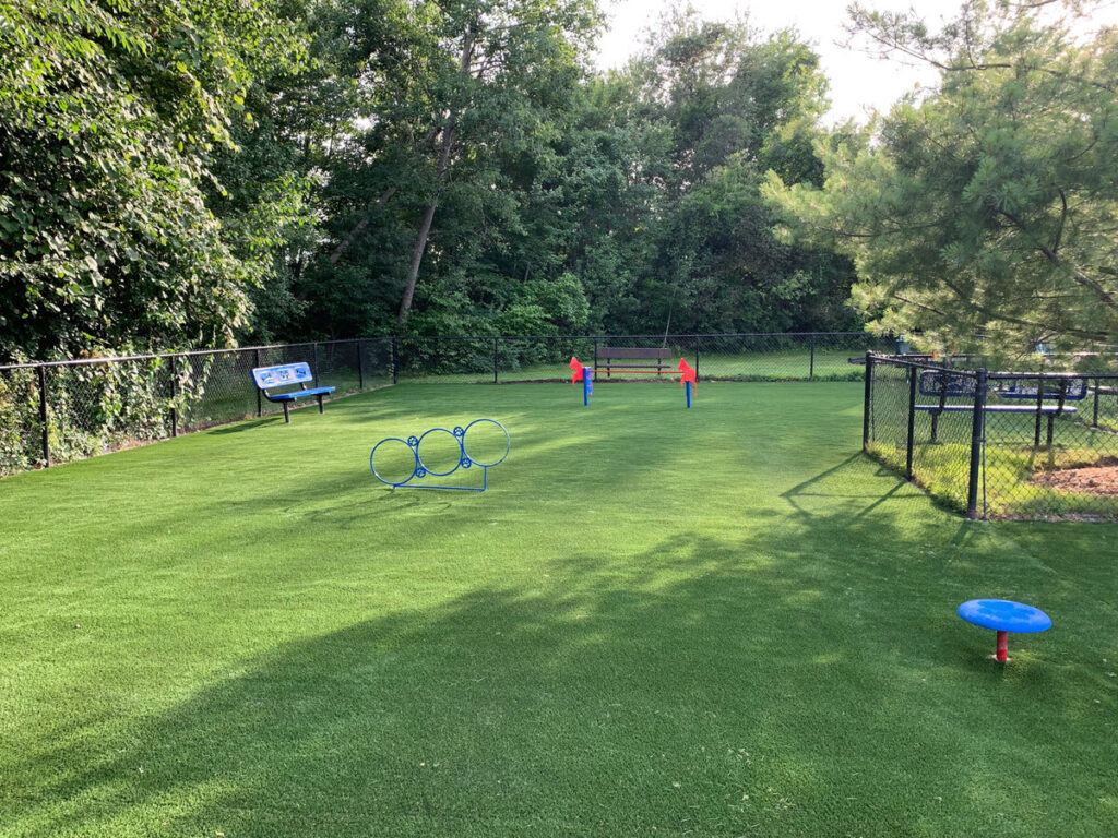 Artificial turf lawn dog park