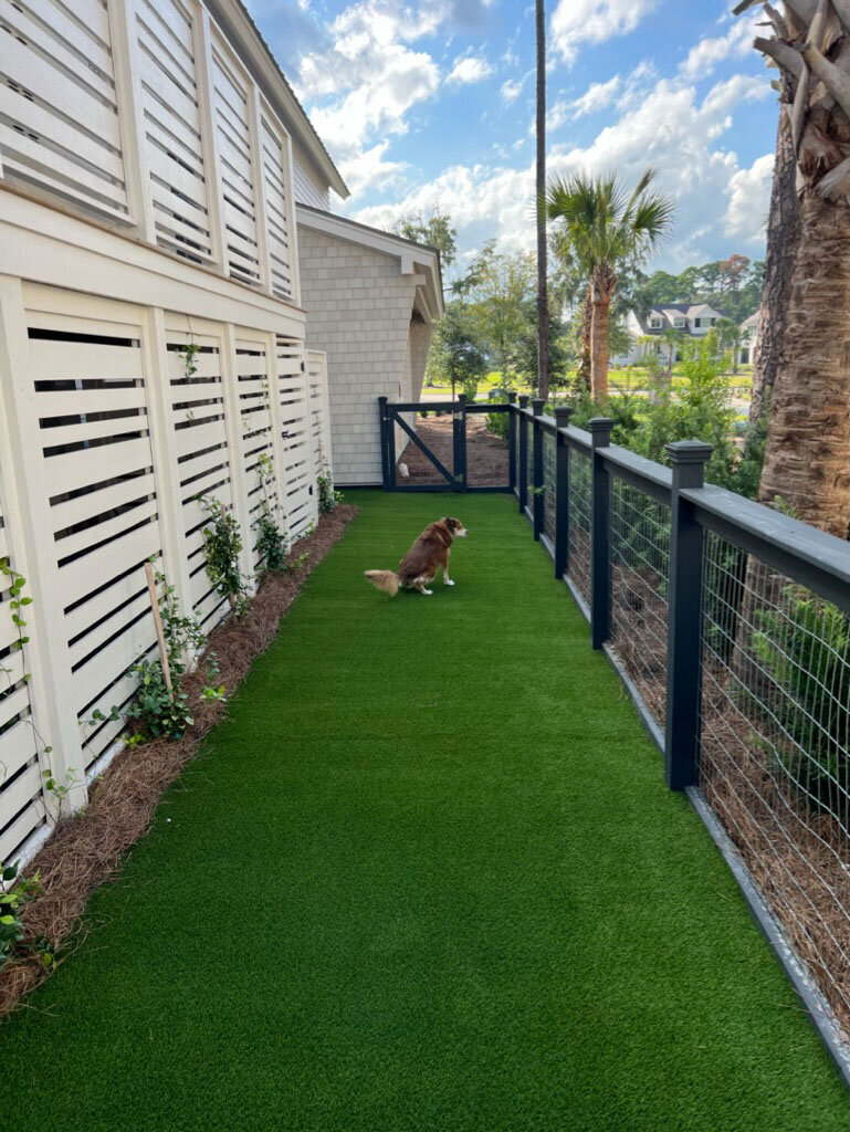 Artificial turf lawn pet walk