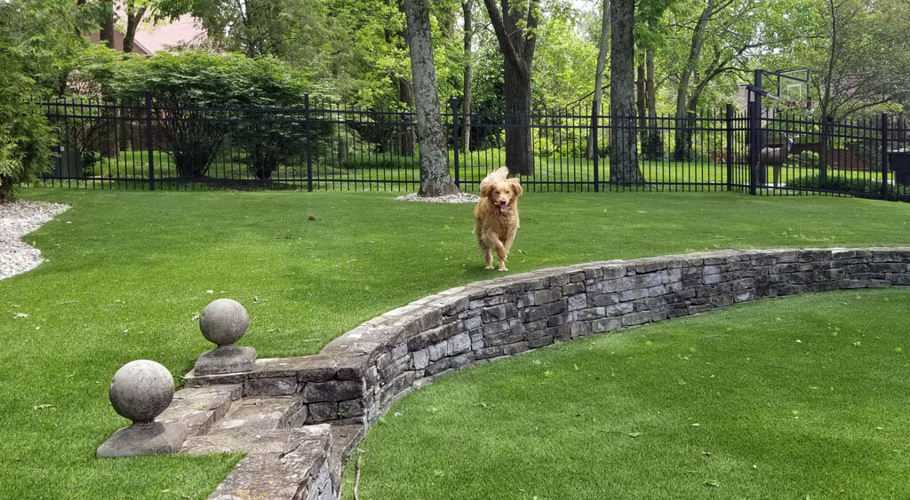 Artificial turf tiered lawn pet area