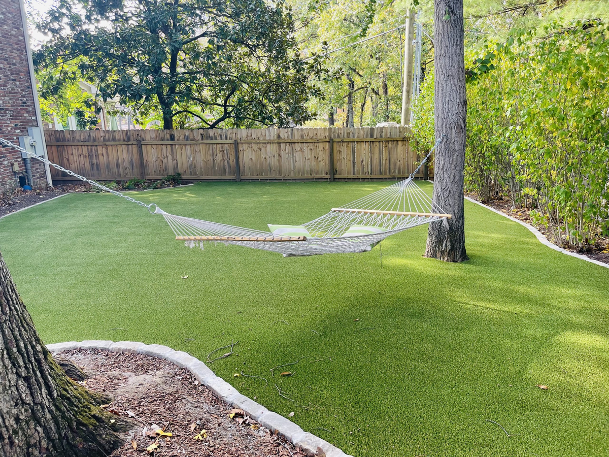 Backyard1