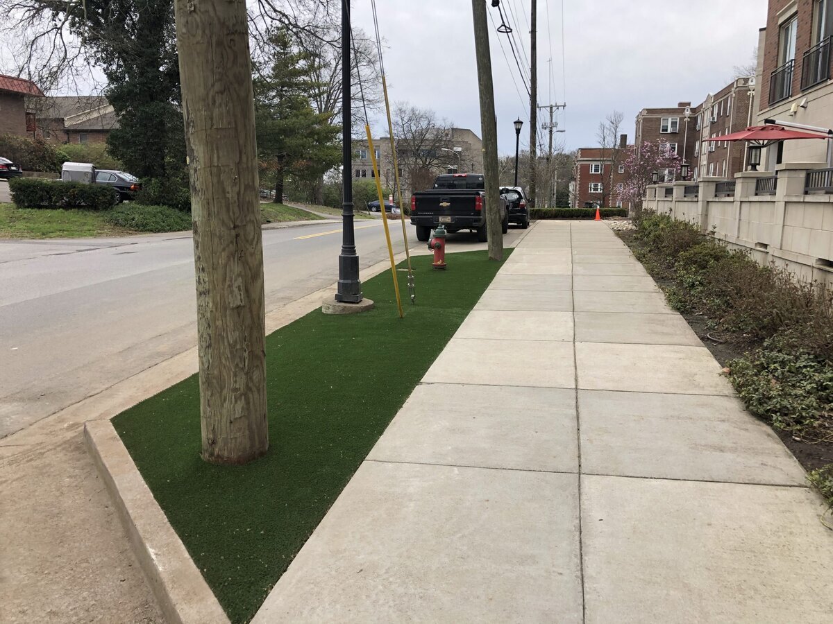 Nashville Turf Along Street