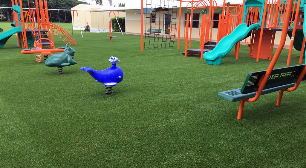Charleston Turf Playground Grass365