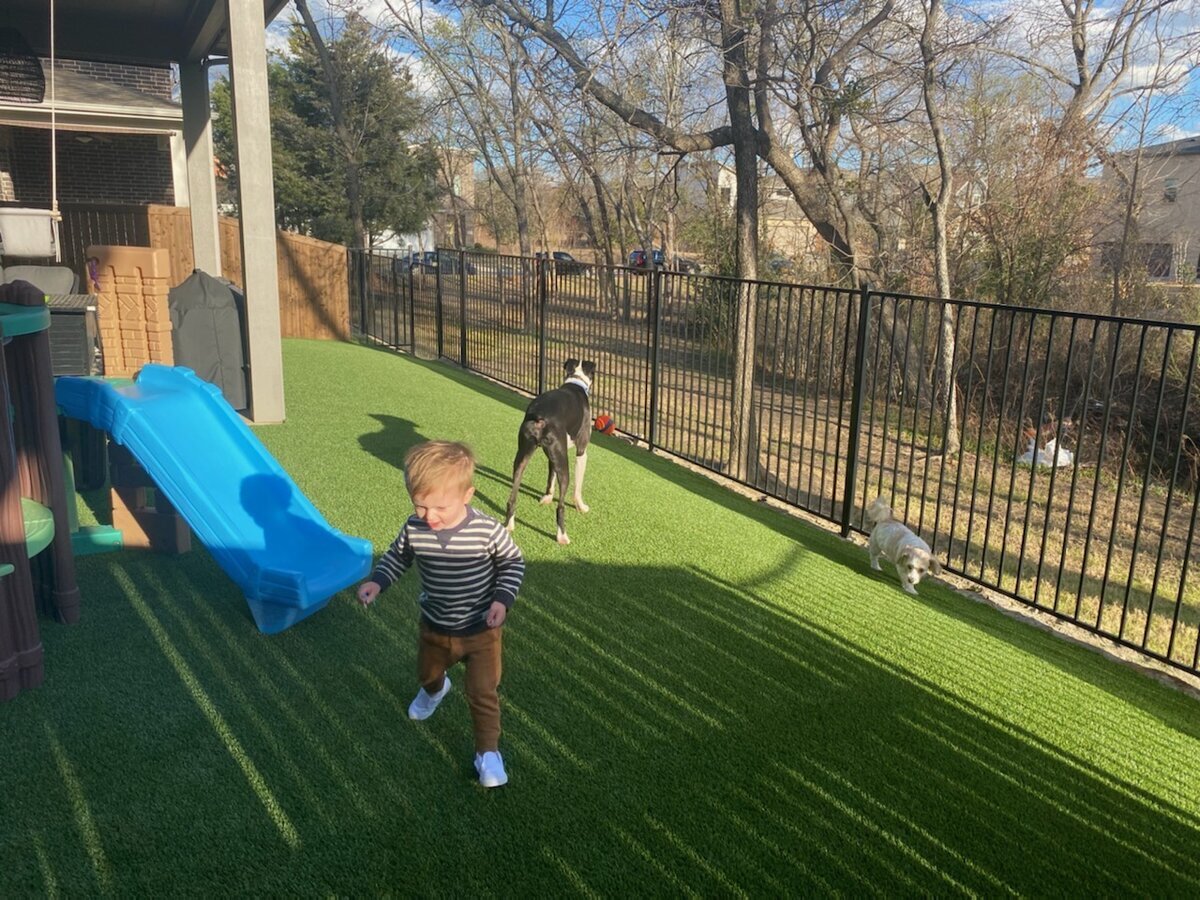 Pet Turf and Playground Dallas
