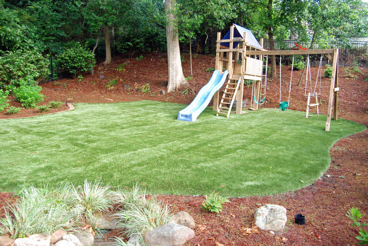 Backyard1