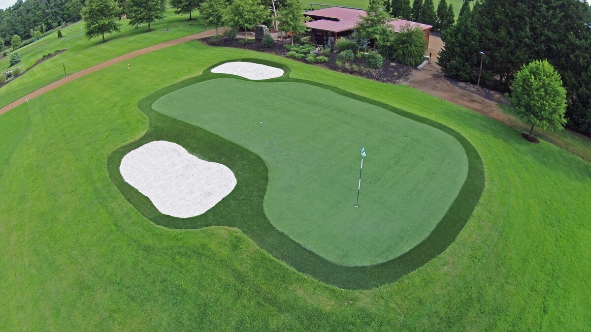 Backyard Putting Green with Caddy Shack
