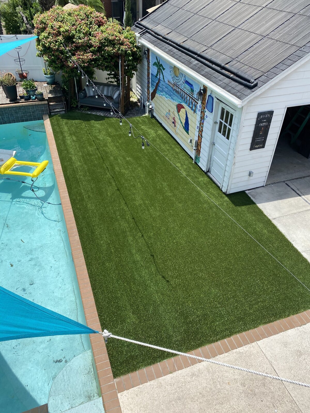 Backyard1