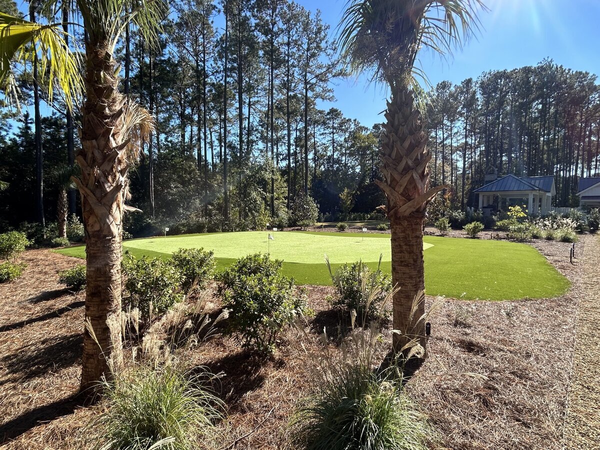 Backyard Putting Green With Tees And Fringe Palmetto Bluff