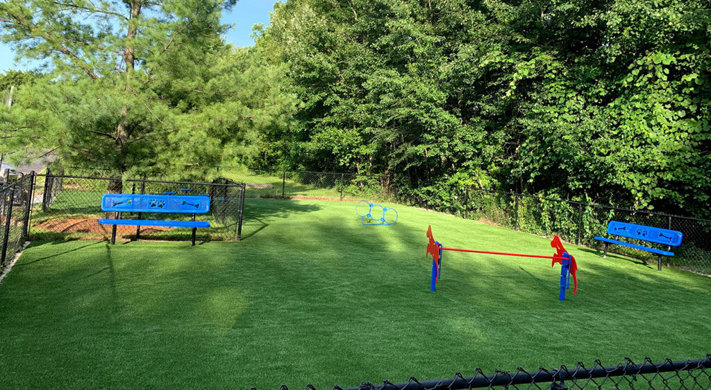 Boston Artificial Pet Turf Two Dogs Hero Web