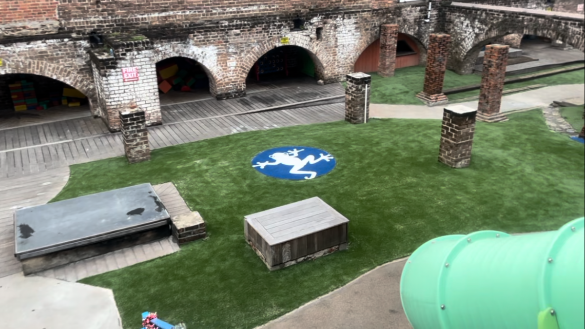 Childrens Museum Looking Down On Frog Artificial Grass Savannah