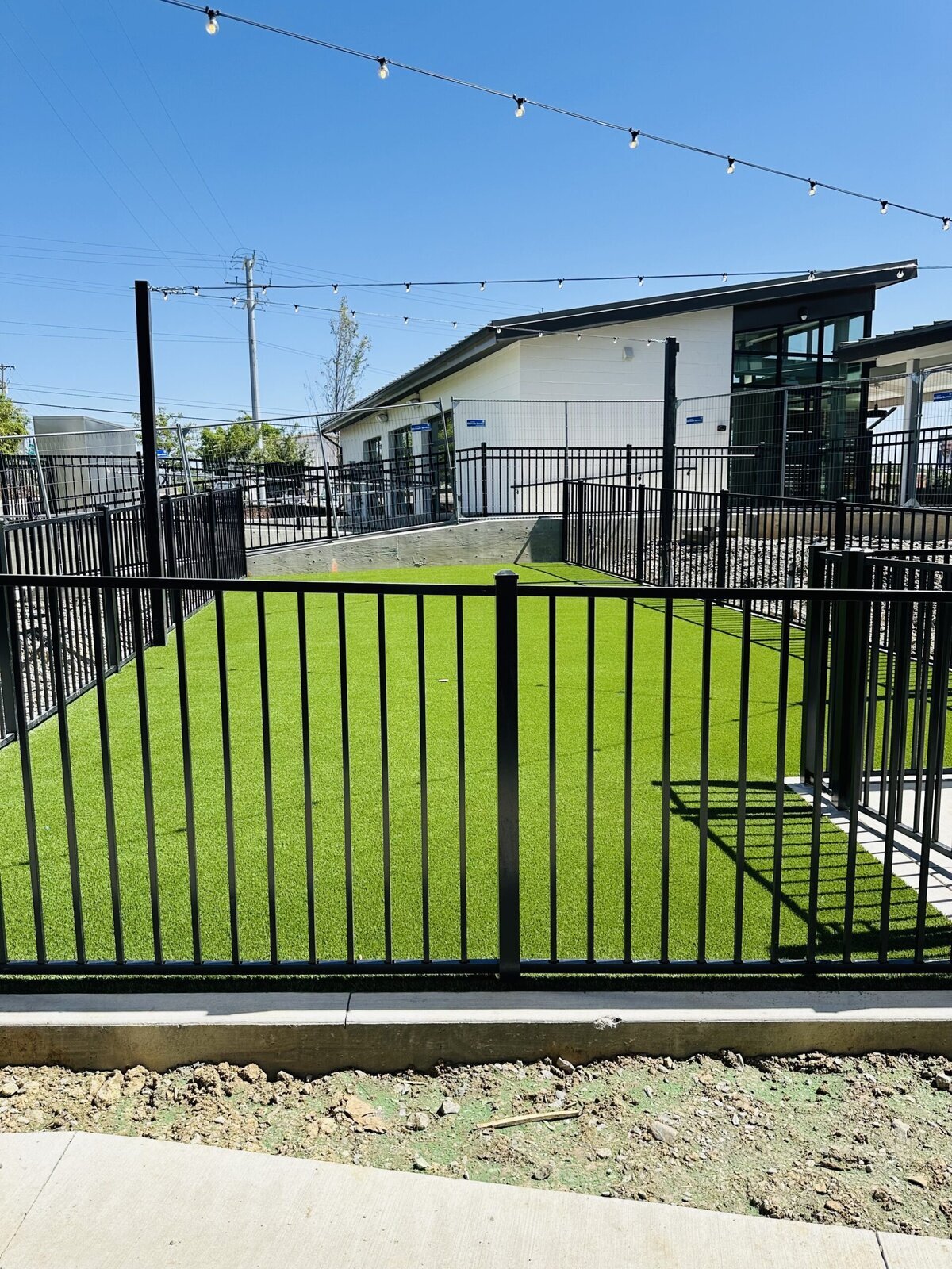 Dog Turf at The Station Nashville