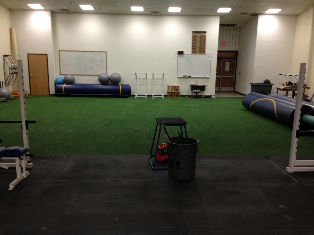 Gym Turf