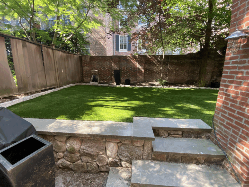 Backyard1
