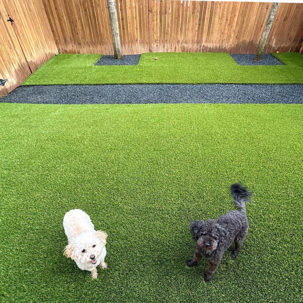 Pet Play Area Denver Turf