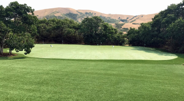 Salt Lake City Backyard Putting Green with Chipping