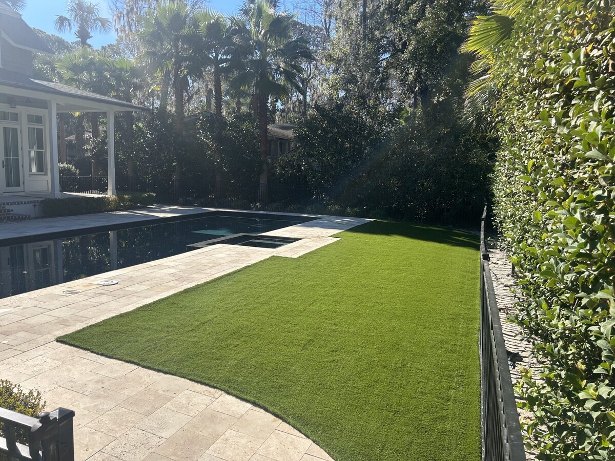 Backyard1