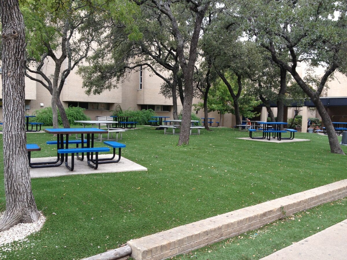 School Common Area Synthetic Grass