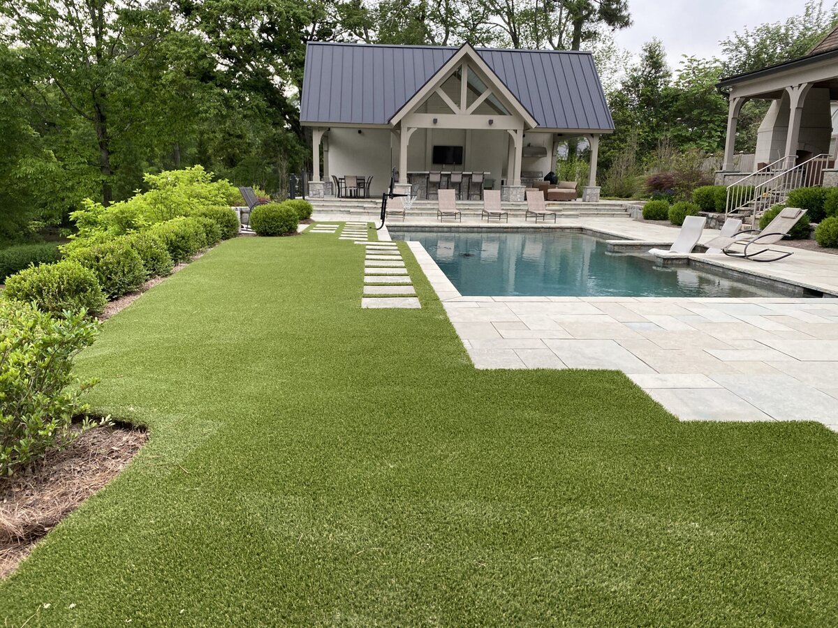 Backyard1