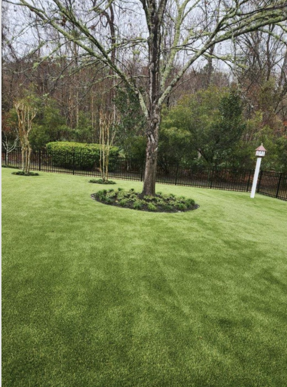Turf Lawn Hilton Head SC