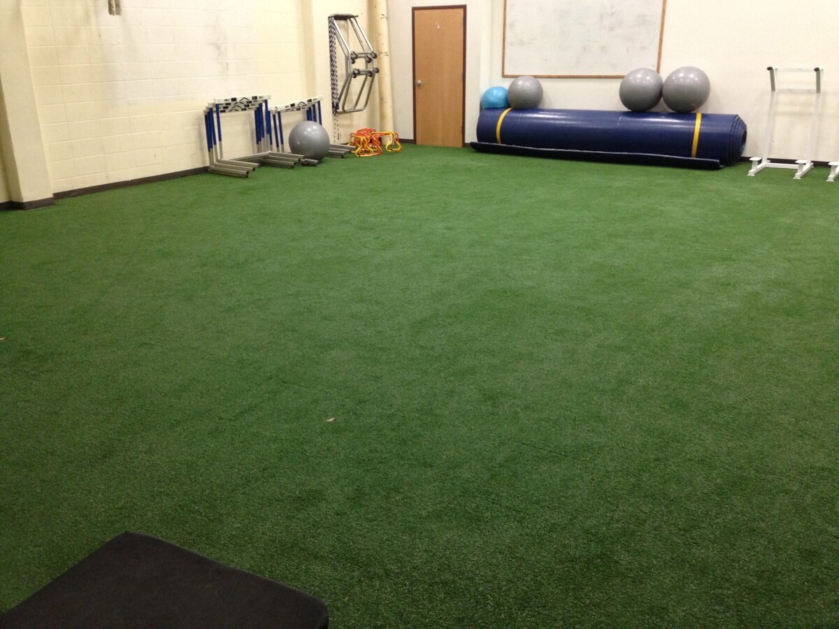Turf for Gym