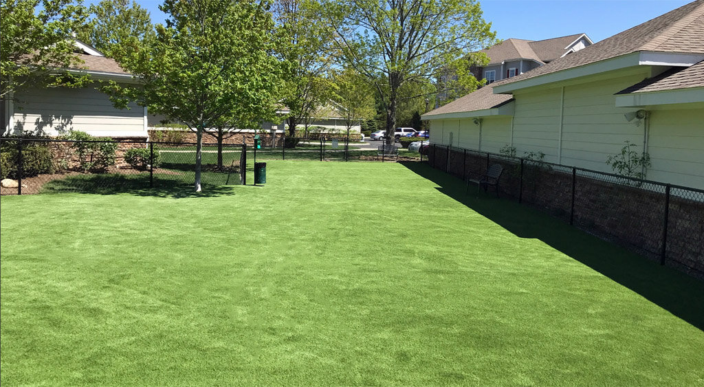 Apartment dog play pet turf
