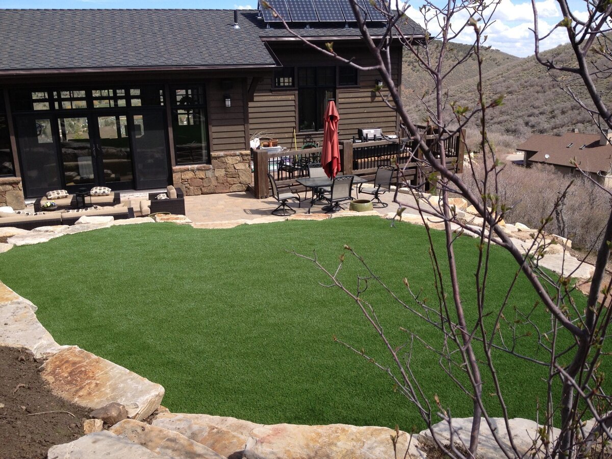 Backyard1