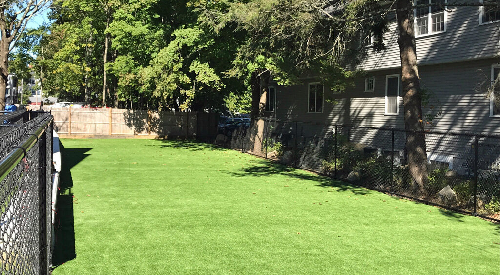 Artificial grass school Boston