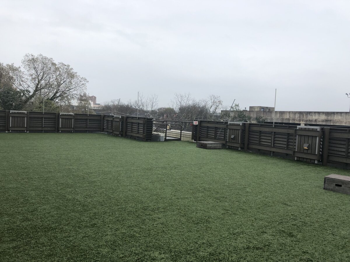Artificial Turf on Roof Charleston