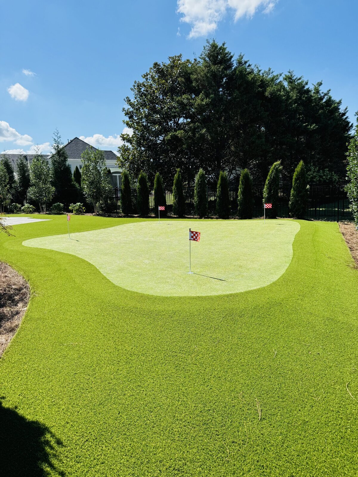 Backyard Putting Green with Fringe and Lawn Turf Nashville Tennessee