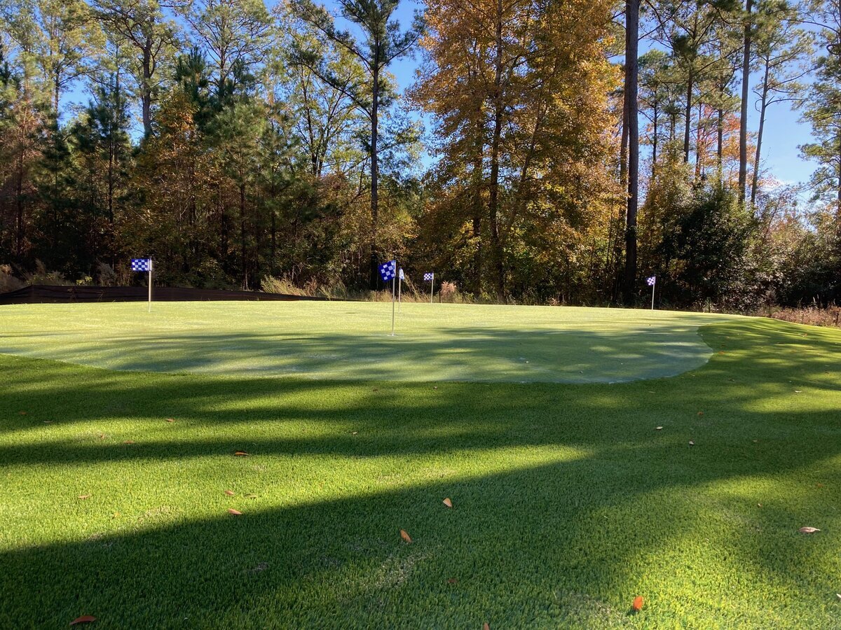 Backyard Putting Green With Fringe Turf In Fall