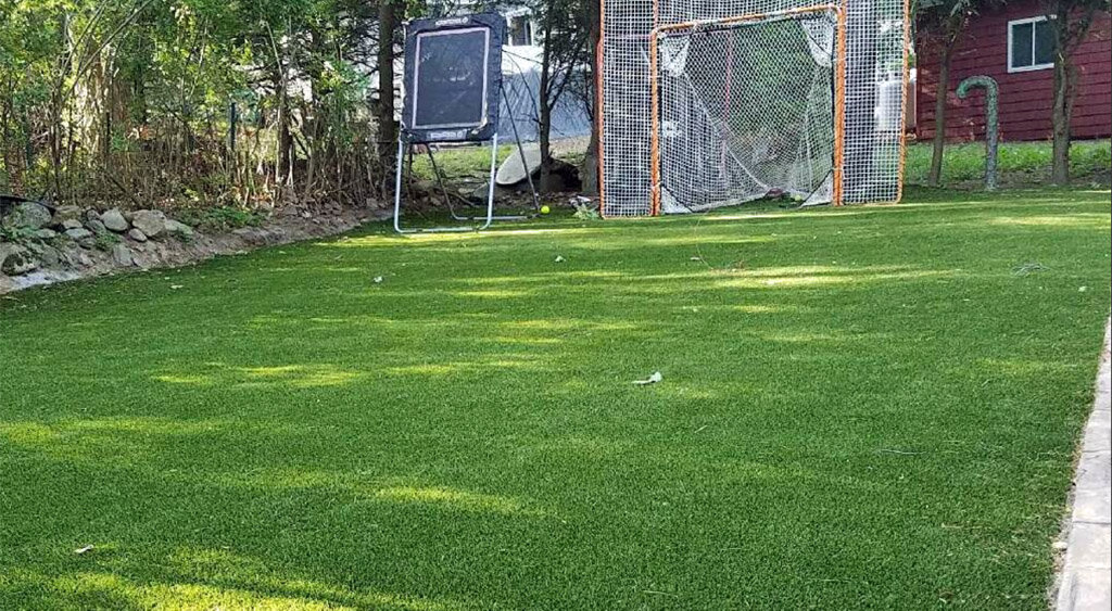 Backyard turf grass sports