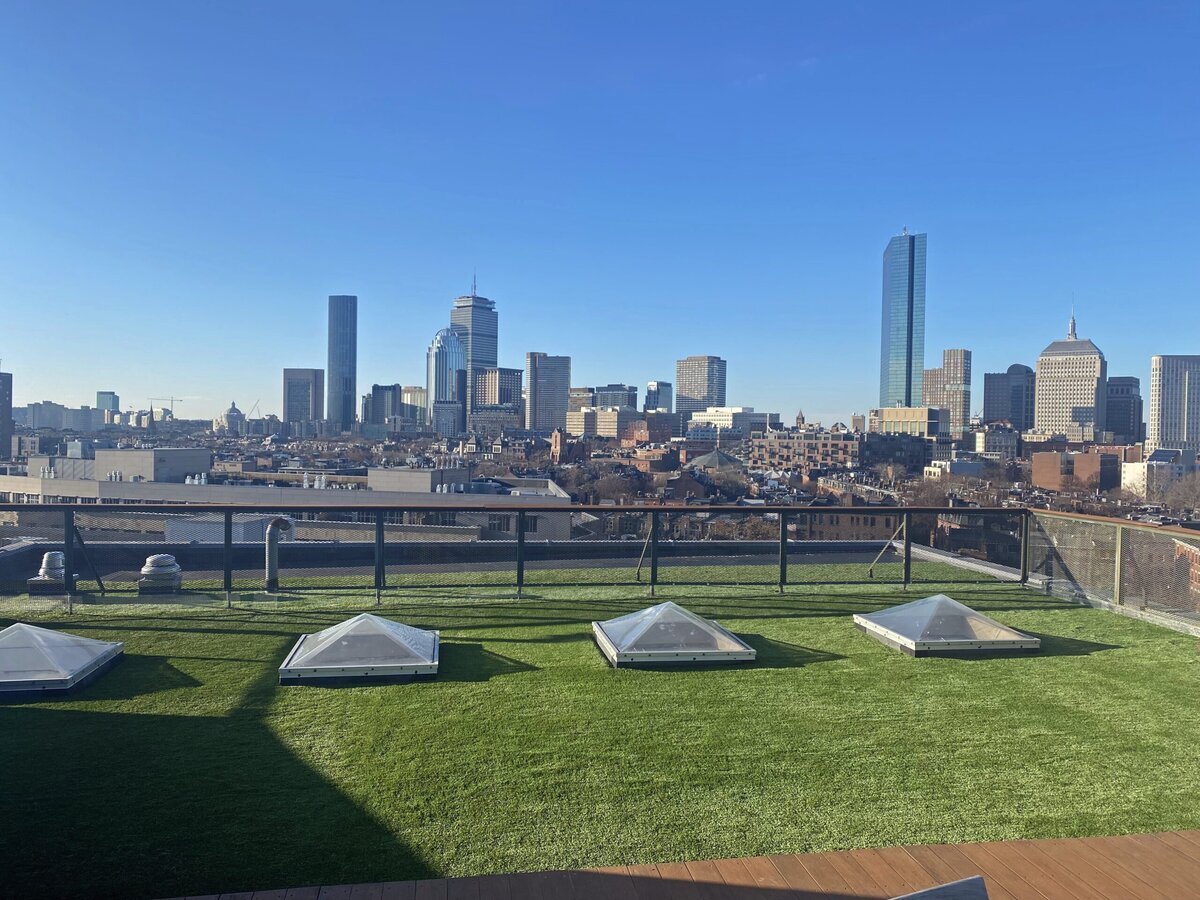 Boston rooftop artificial grass