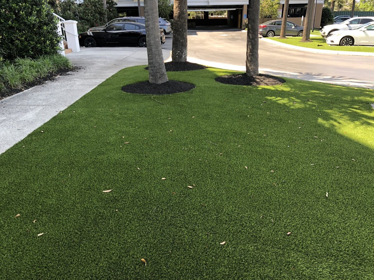 Commercial Turf Off Parking Lot Mount Pleasant Charleston