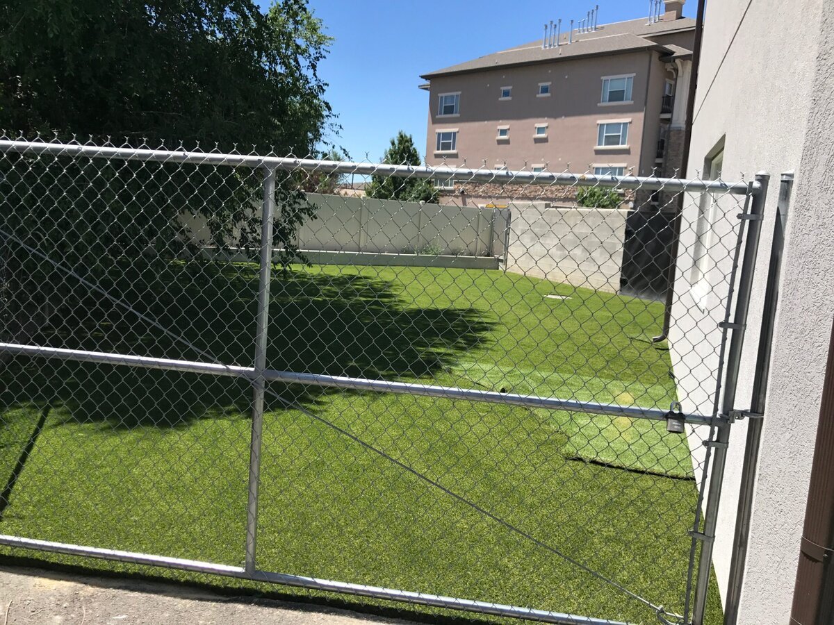Dog Daycare Artificial Turf Salt Lake City