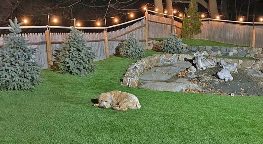 Northern New Jersey Artificial Pet Turf Two Dogs Hero Web