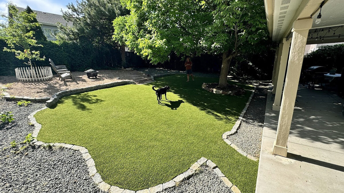 Dog Play Area Denver Pet Turf